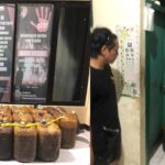 WhatsApp Image 2023-07-25 at 17.50.06