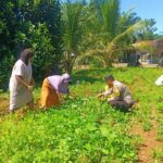 WhatsApp Image 2023-07-27 at 13.02.23