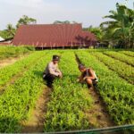 WhatsApp Image 2023-08-01 at 11.53.23