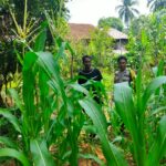 WhatsApp Image 2023-08-04 at 12.26.06