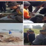 WhatsApp Image 2023-08-05 at 14.37.46