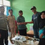 WhatsApp Image 2023-08-08 at 04.58.52