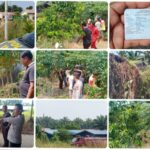 WhatsApp Image 2023-08-13 at 18.40.37