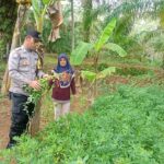 WhatsApp Image 2023-08-24 at 16.22.56