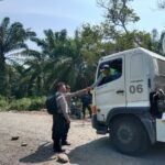 WhatsApp Image 2023-08-31 at 09.27.51