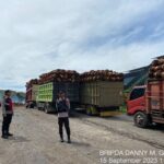 WhatsApp Image 2023-09-16 at 08.17.21