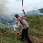 WhatsApp Image 2023-09-18 at 09.09.09