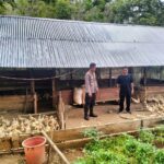 WhatsApp Image 2023-10-02 at 11.49.51