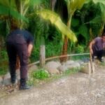 WhatsApp Image 2023-10-15 at 09.44.13