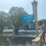 WhatsApp Image 2023-11-12 at 12.11.20