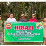 WhatsApp Image 2023-11-16 at 17.24.47 (1)