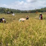 WhatsApp Image 2023-11-20 at 00.02.46