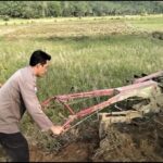 WhatsApp Image 2023-11-24 at 05.41.27