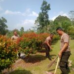 WhatsApp Image 2023-11-27 at 03.41.25