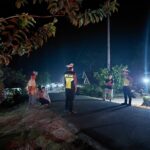 WhatsApp Image 2023-12-10 at 14.08.02