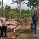 WhatsApp Image 2023-12-31 at 13.21.18