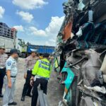 WhatsApp Image 2024-01-28 at 18.14.29