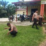 WhatsApp Image 2024-02-07 at 09.17.22