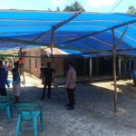 WhatsApp Image 2024-02-12 at 09.41.31