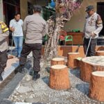 WhatsApp Image 2024-02-25 at 10.07.59