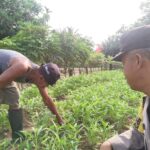 WhatsApp Image 2024-02-26 at 09.19.38