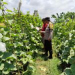 WhatsApp Image 2024-02-28 at 10.13.49