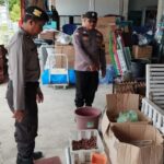 WhatsApp Image 2024-03-01 at 05.04.30