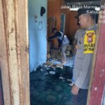 WhatsApp Image 2024-03-01 at 05.39.58