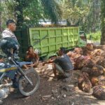 WhatsApp Image 2024-03-06 at 13.13.15