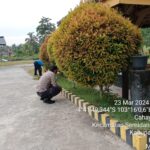 WhatsApp Image 2024-03-24 at 10.11.12 (1)