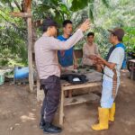 WhatsApp Image 2024-03-25 at 06.33.26