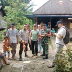 WhatsApp Image 2024-05-23 at 07.26.57