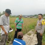 WhatsApp Image 2024-05-23 at 07.29.21