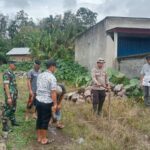 WhatsApp Image 2024-05-23 at 07.31.07