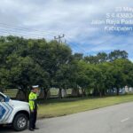 WhatsApp Image 2024-05-24 at 11.31.44 (1)