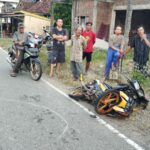 WhatsApp Image 2024-06-19 at 06.45.06