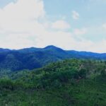 ce263b26-4230-4dae-b701-0e5e04a50d1f Yayasan Wasinus Gugat Menteri LHK ke PTUN Jakarta, Gara-gara Ubah Status Hutan Lindung Bukit Sanggul Jadi Hutan Produksi Diduga untuk Tambang Emas