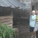 WhatsApp Image 2024-09-28 at 12.06.51