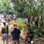 WhatsApp Image 2024-10-01 at 08.58.12