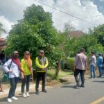 WhatsApp Image 2024-11-02 at 05.17.03