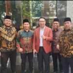 WhatsApp Image 2024-11-05 at 17.34.24