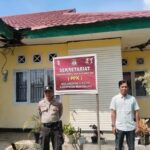 WhatsApp Image 2024-11-12 at 13.13.26