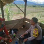 WhatsApp Image 2024-11-12 at 13.15.23