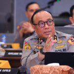 WhatsApp Image 2024-11-13 at 08.22.38