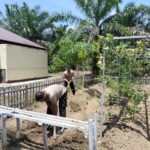 WhatsApp Image 2024-11-13 at 08.35.08