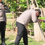 WhatsApp Image 2024-11-14 at 15.20.30