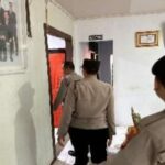 WhatsApp Image 2024-11-14 at 15.20.32