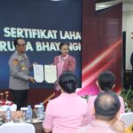 WhatsApp Image 2024-11-15 at 18.18.13