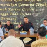 WhatsApp Image 2024-11-16 at 15.55.40