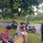 WhatsApp Image 2024-11-17 at 13.12.31